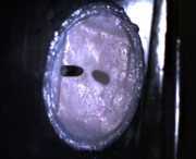 6a00d8341bf67c53ef014e8acd355a970d-800wi