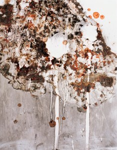 'Pandemic', photography, archival print on dibond ed. 6+2AP, 40×50 cm - from http://www.filipberendt.pl